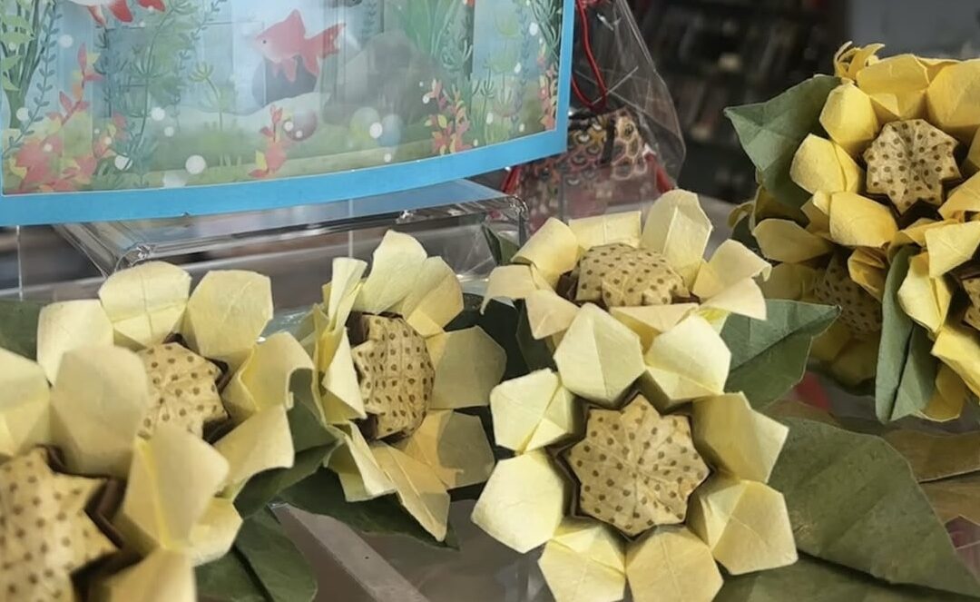 ひまわり🌻